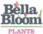 Bella Bloom Plants