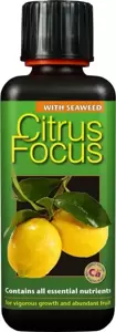 Citrus Focus 300ml - image 1