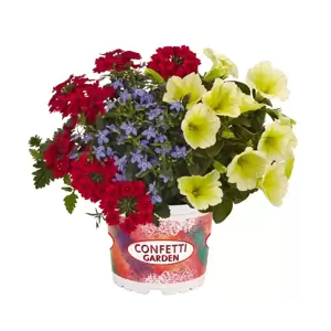 Confetti Garden™ Water Colours - image 1
