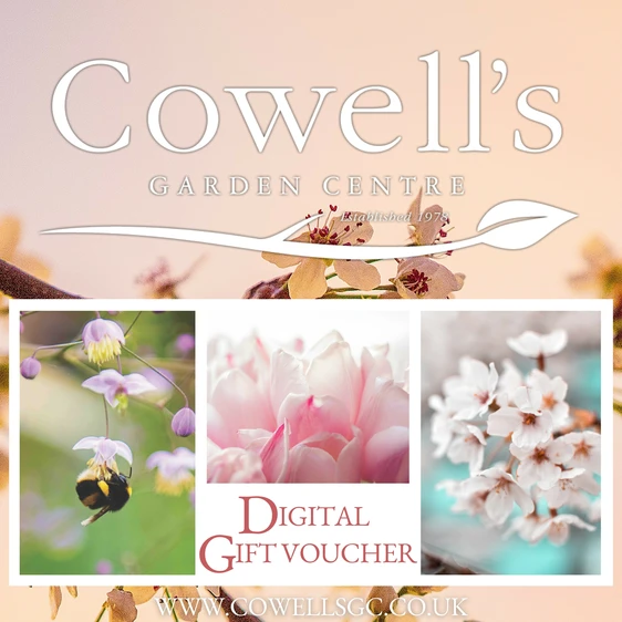 Cowell's e-Gift Voucher - Spring Design