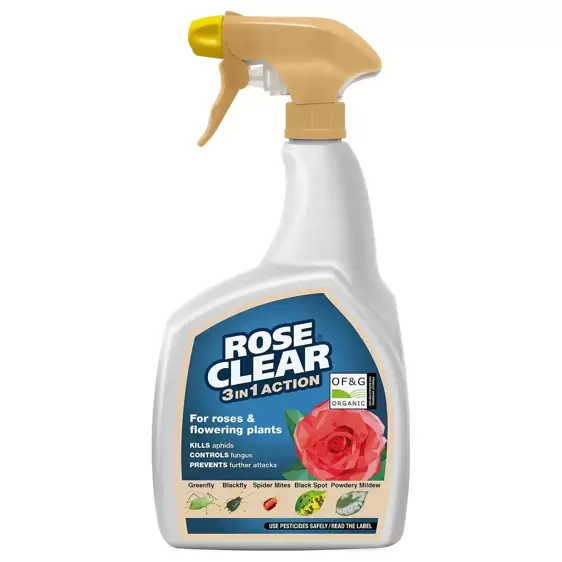 Rose Clear 3 in 1 Action