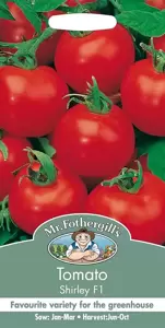Tomato Shirley F1 - image 1