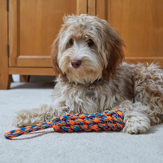 Uber-Activ Throw Rope Toy - image 1