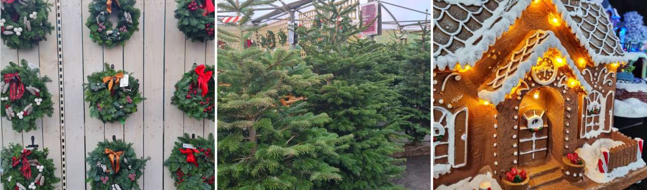 Christmas at Cowell's Garden Centre Newcastle