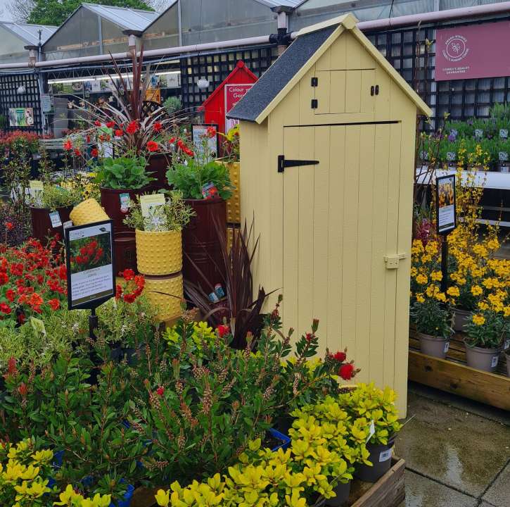 Houseplants at Cowell's Garden Centre