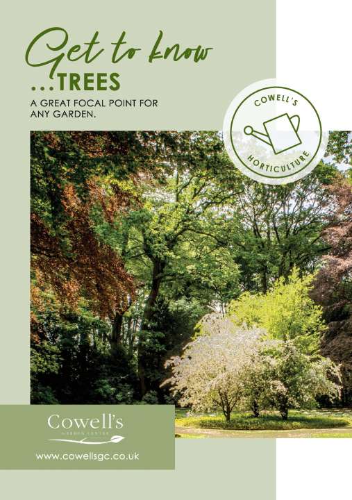 Get to know Trees - Cowell's