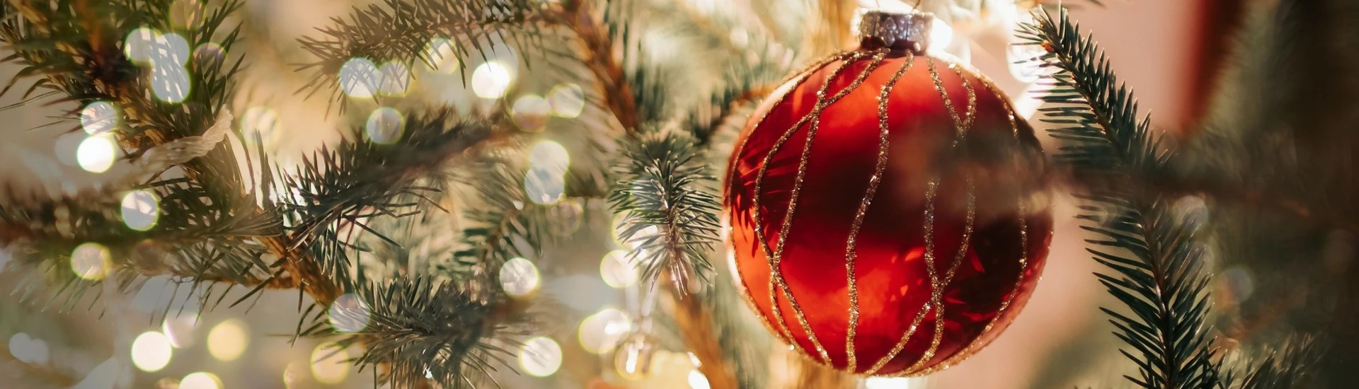 Fresh Christmas Trees