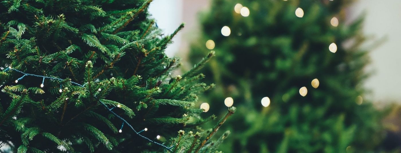 Cowell's Garden Centre Woolsington