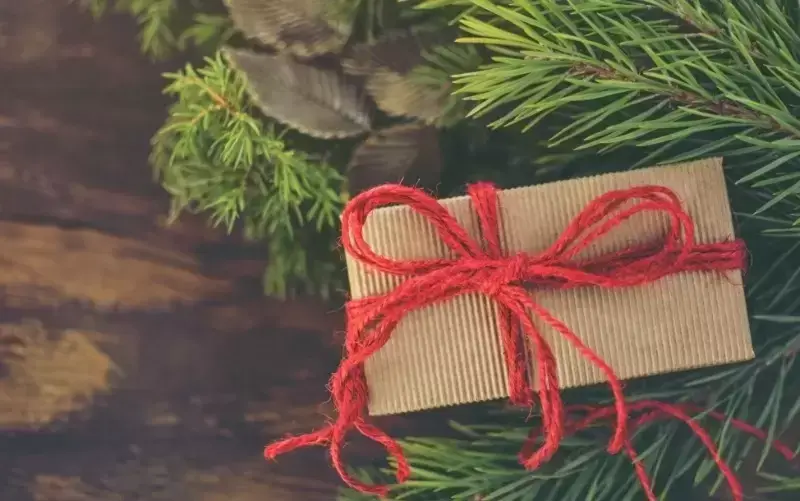 Last Minute Christmas Gift for Gardeners