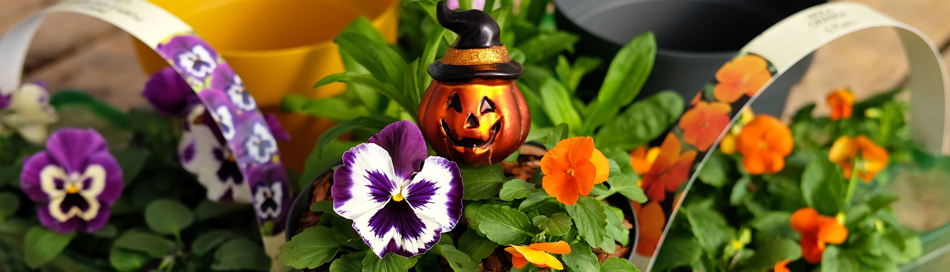 Children's Halloween Workshop