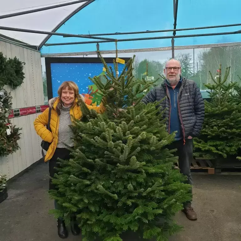 Win a Real Christmas Tree - We have a Winner!
