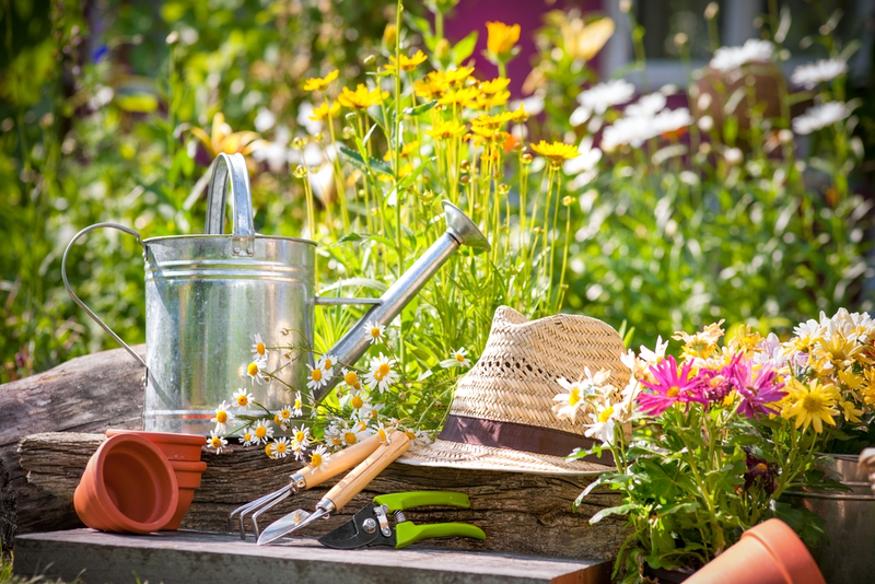 15 Garden Tips for July