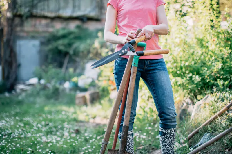 6 Low-Cost Garden Makeover Tips