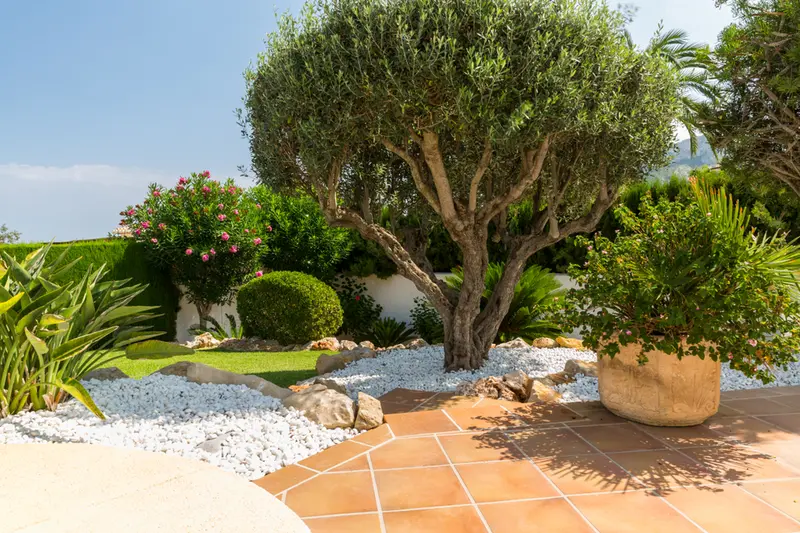 8 Top Tips for a Mediterranean Garden