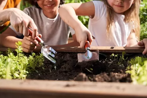 8 Fun Activities for National Children's Gardening Week
