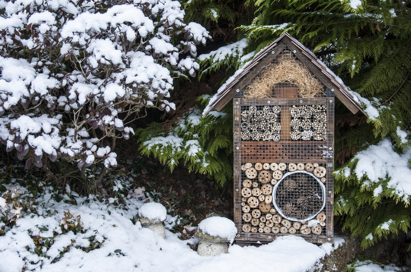 8 Ways to Make your Garden Wildlife-friendly this Winter