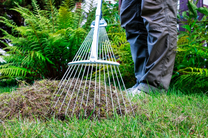 Autumn Lawn Care Guide