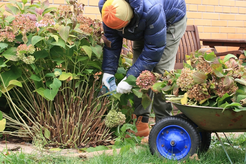 Preparing the Garden For Autumn