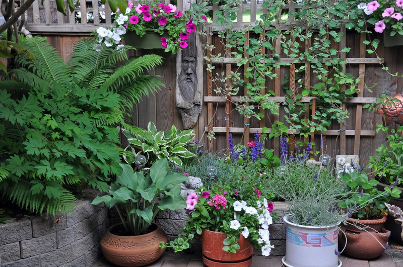 Ideas for Colourful Pots in Shade Gardens