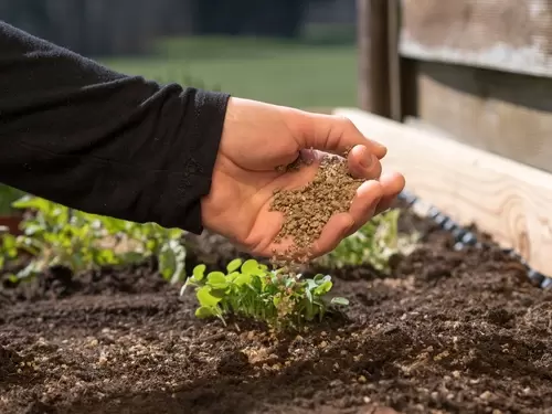 Feeding your Garden Plants