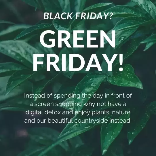 Green Friday