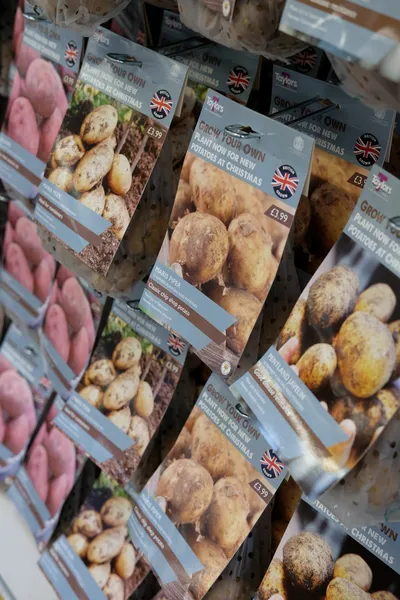 Grow Your Own Potatoes for Christmas