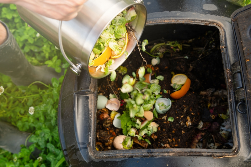 How To Compost Waste Into Valuable Nutrients