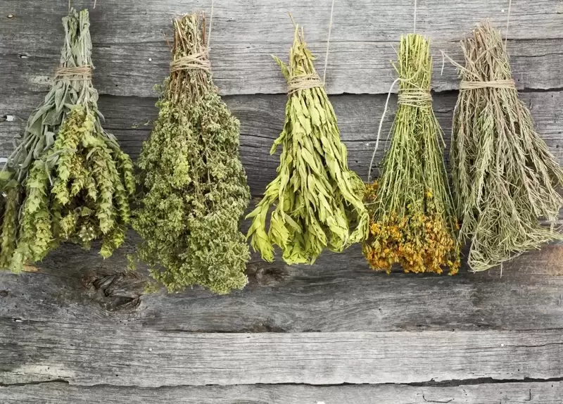 How to Dry Herbs for Winter