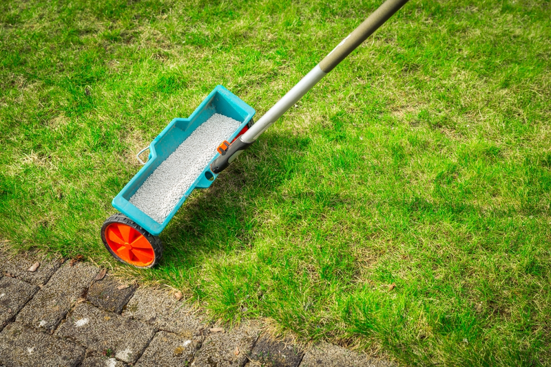 How to Fertilise Your Lawn in 4 Steps