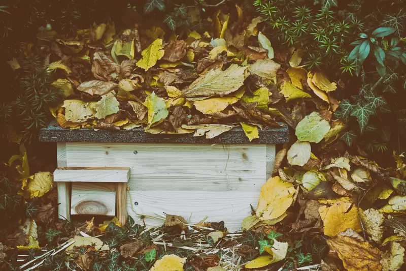 How to Make a Hedgehog House