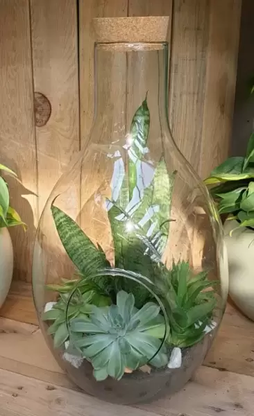 Making your own Terrarium