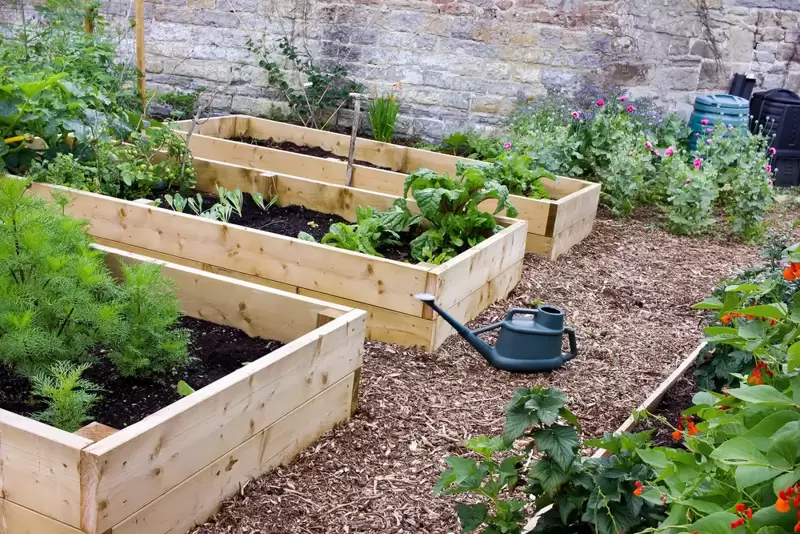 Install Raised Beds