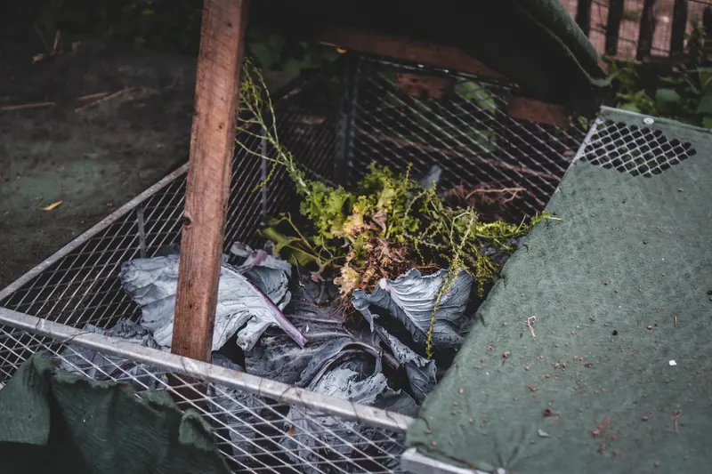 Making Your Own Compost