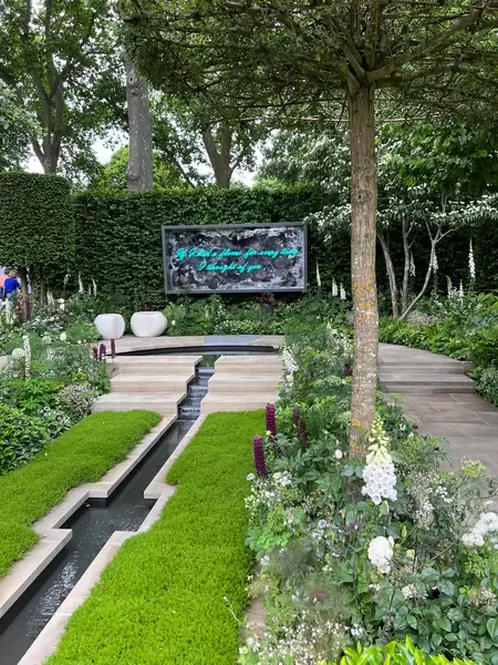 Our Top 6 Chelsea Flower Show 2022 Plants