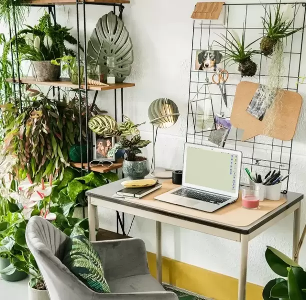 Thanks Plants for Putting the 'Home' in Home Office