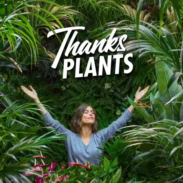 Thanks Plants !