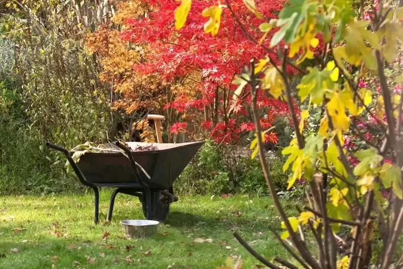 Why Autumn's the Best Time to Garden