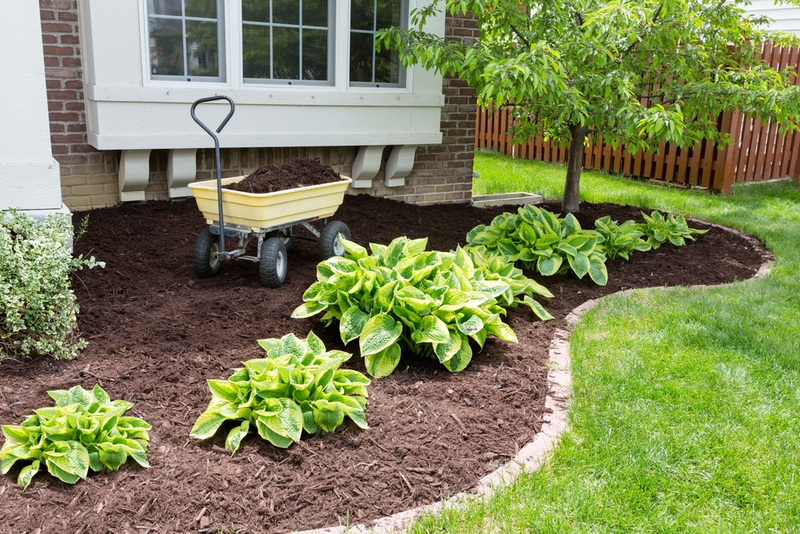 Why Mulching Works And How To Do It