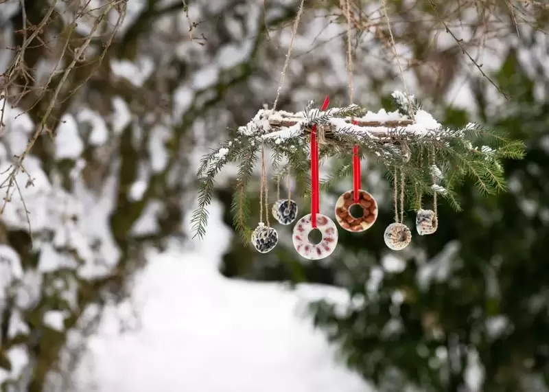 Wildlife-friendly Christmas Garden Decorations