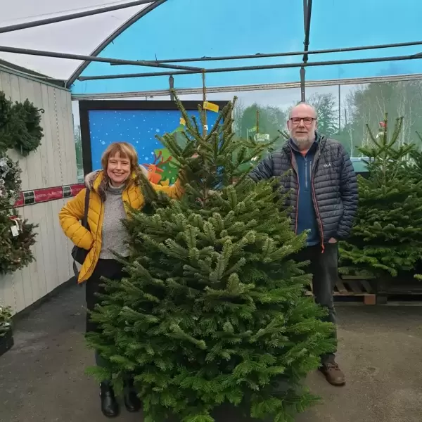 Win a Real Christmas Tree - We have a Winner!
