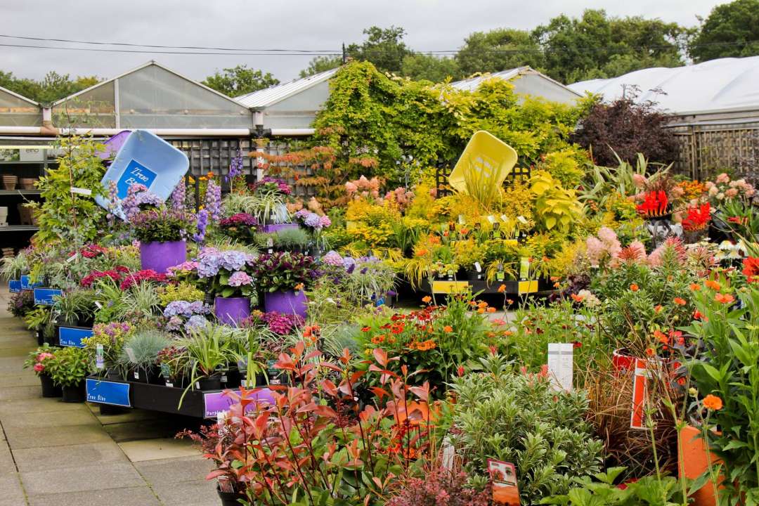 Our experts are ready to help you choose the right out-of-doors plants