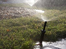 Automatic watering