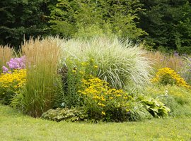 Designing with perennials