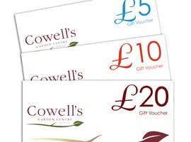 Gift Vouchers