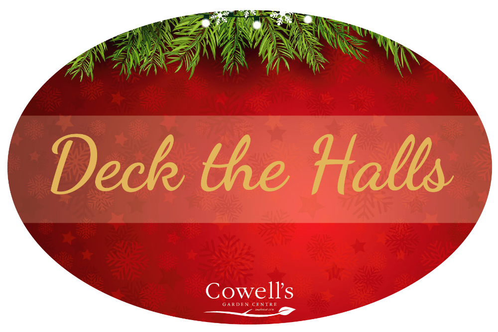 Deck The Halls Product Range Cowell S Garden Centre Woolsington Red Green And Gold Traditional Christmas Decorations Never Fail To Make Your Room Warm Cosy Timeless Inspired By Christmases Of Days Long Gone