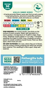 Achillea Summer Berries Seeds - image 2