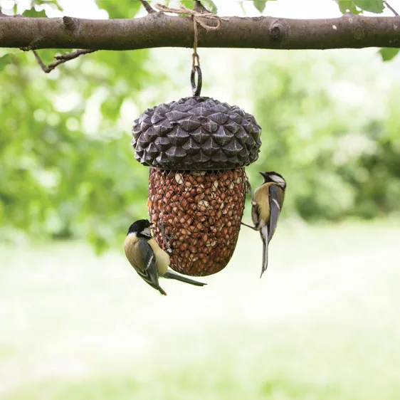 Acorn Bird Feeder - image 1