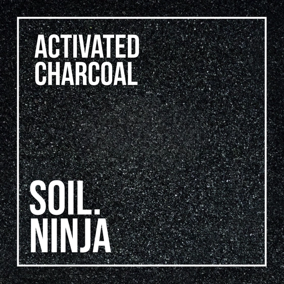 Activated Charcoal - image 4