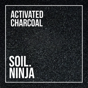 Activated Charcoal - image 4
