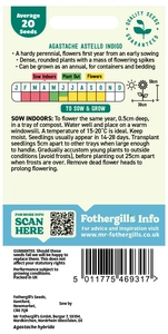 Agastache Astello Indigo - image 2